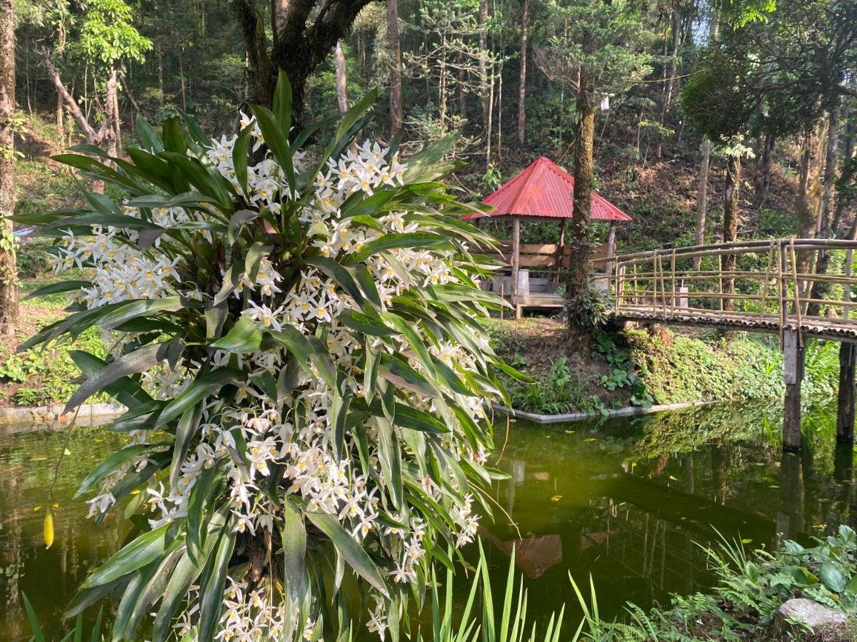 Bloomfield Farmhouse And Eco-Resort Darjeeling (West Bengal) Exterior foto