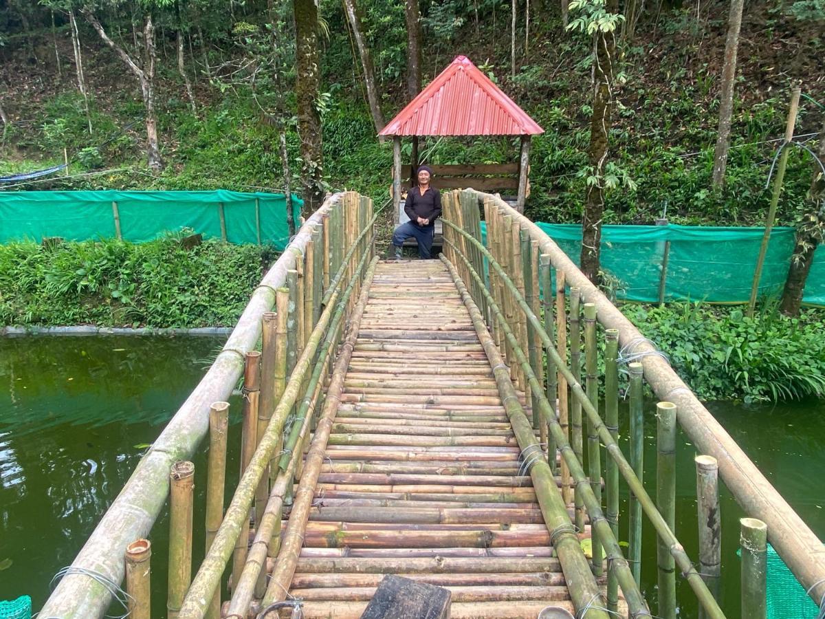 Bloomfield Farmhouse And Eco-Resort Darjeeling (West Bengal) Exterior foto