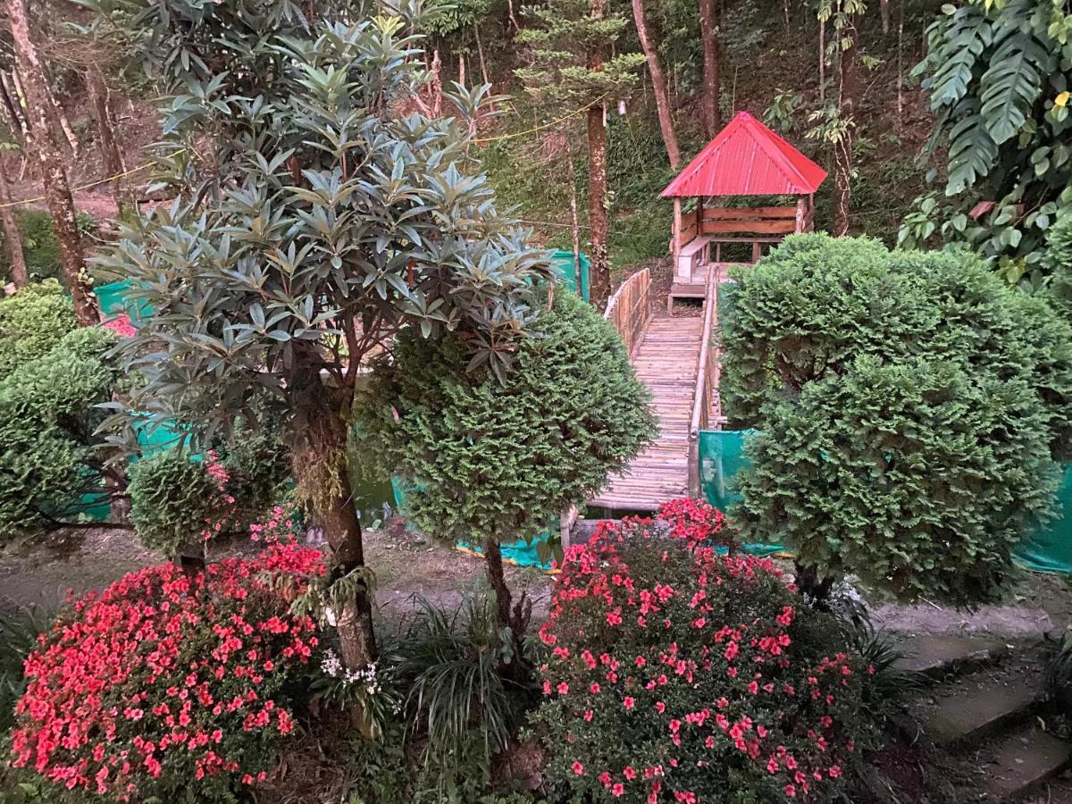 Bloomfield Farmhouse And Eco-Resort Darjeeling (West Bengal) Exterior foto